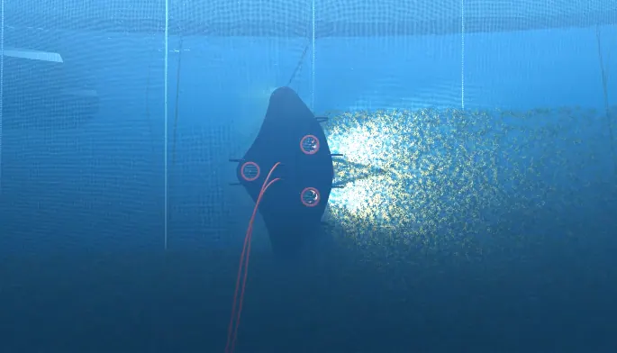 ROVs